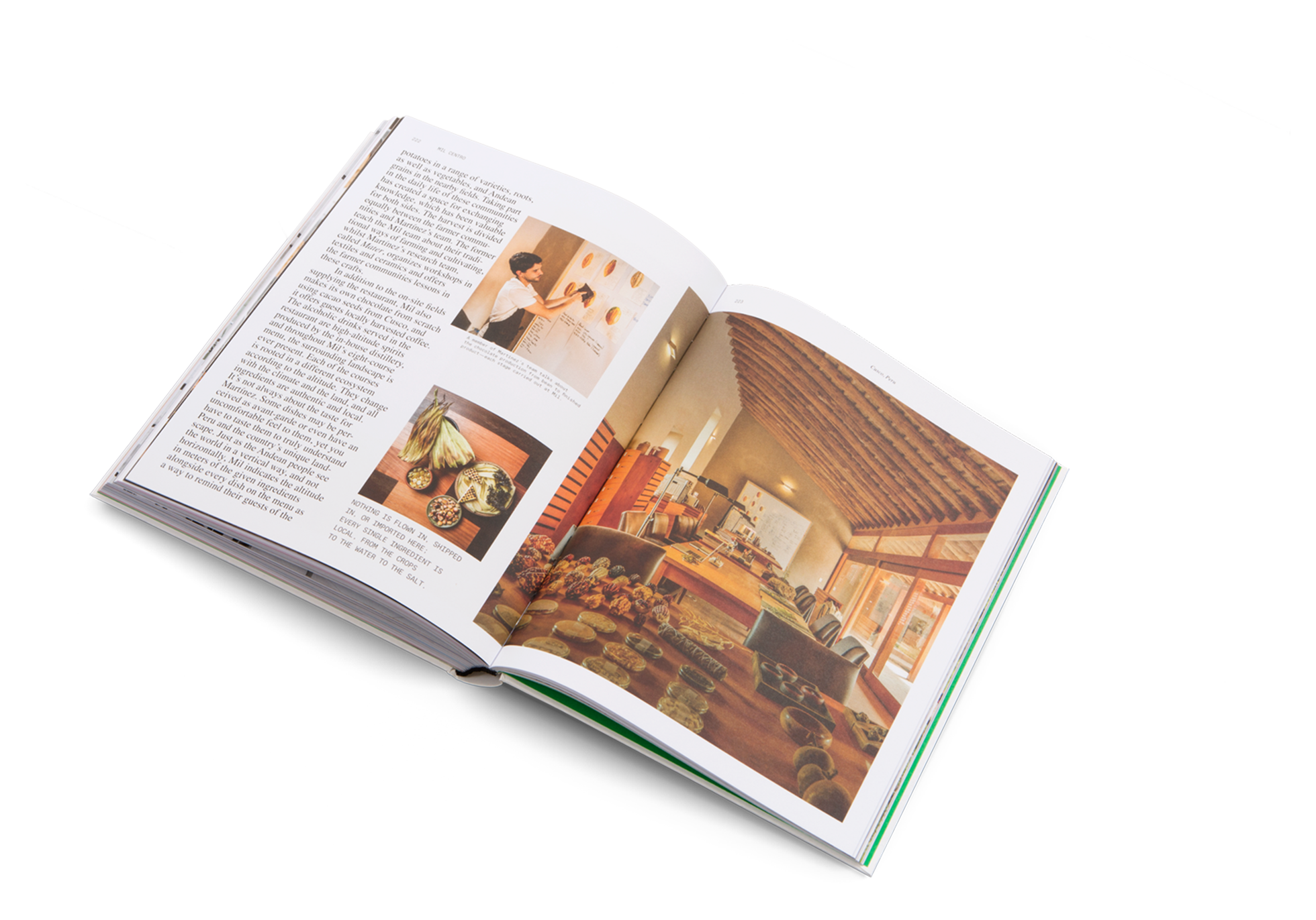 gestalten & teNeues - Wholesale Display Book - Delicious Places11