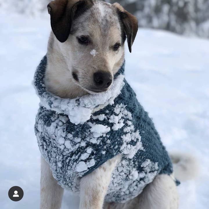 Leni Knits Limited - Wholesale Pet Sweater - Dog - The Original Honeycomb Cable Knit Dog Sweater2