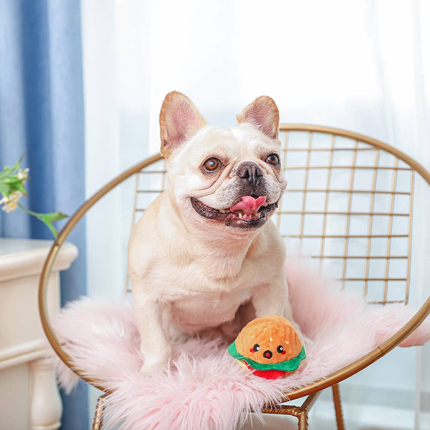 Hugsmart Products Inc - Wholesale Pet Fetch Ball - Dog - HugSmart Pet - Food Party | Hamburger - Dog Ball Toy3