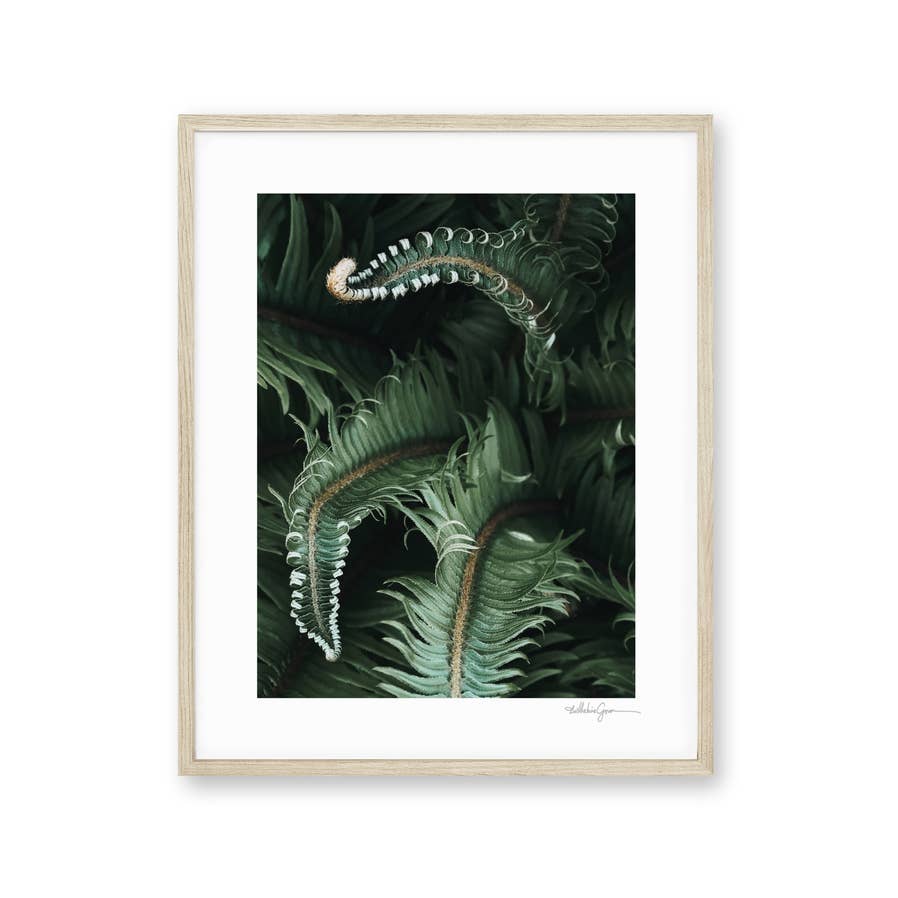 Art Print | Green Ferns | Pacific Northwest Print for wholesale by Ocean Sky Lab