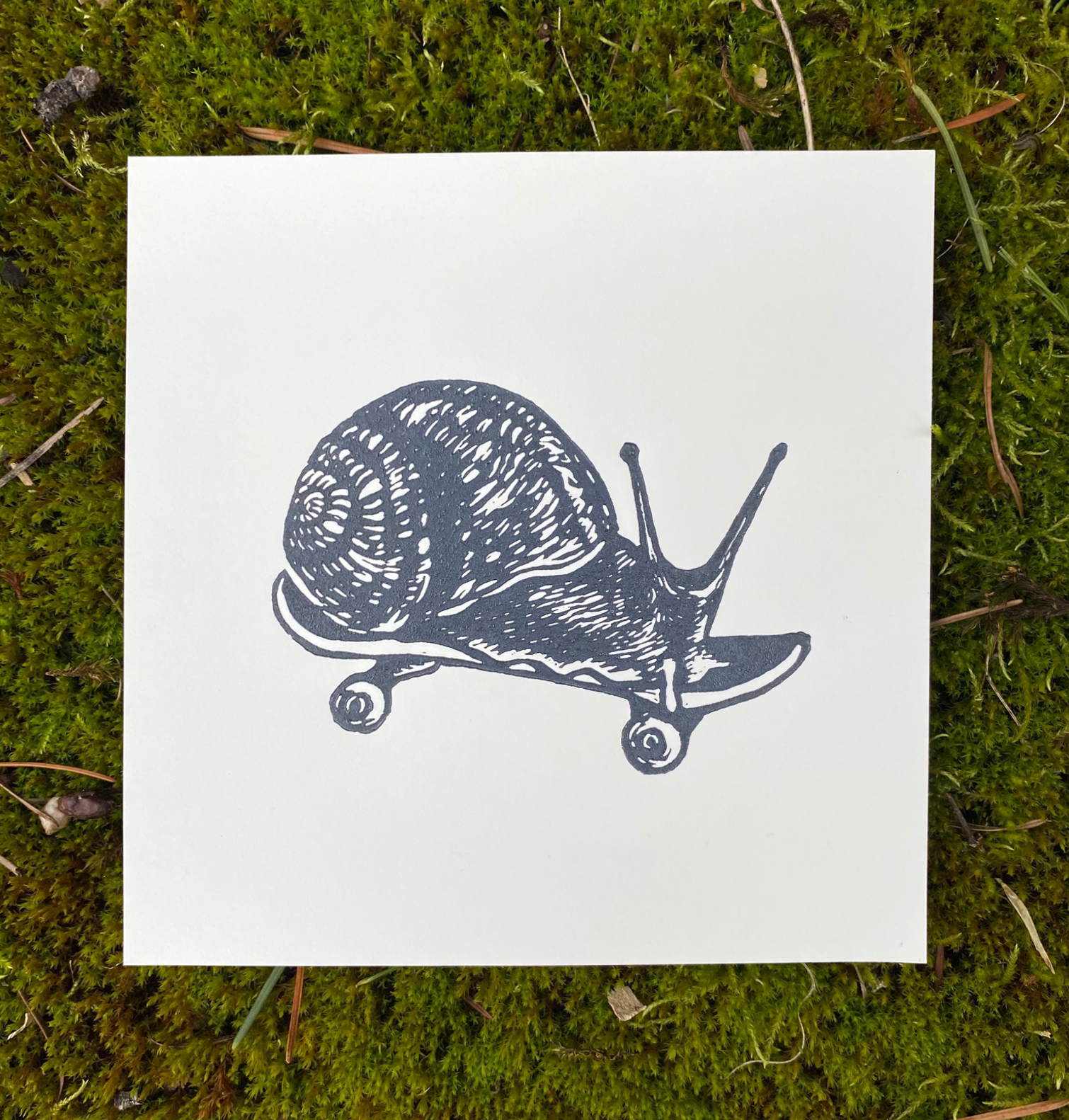 Augury Press – wholesale Art print – Skater Snail Linocut Print1