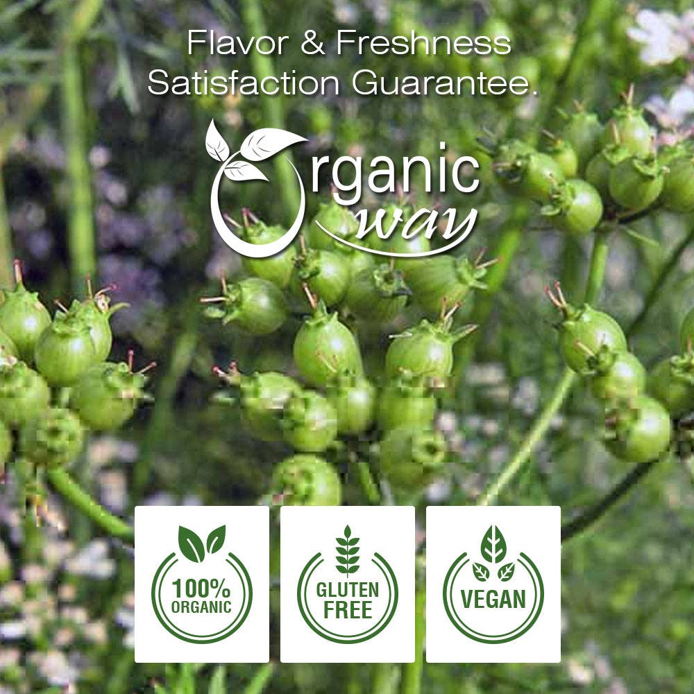 Organic Way LLC - Wholesale Herbs - Coriander Whole (Coriandrum sativum) - Adds Flavour & Aroma | Kosher Certified | Vegan, Non GMO & Gluten Free | USDA Certified | Origin - India2