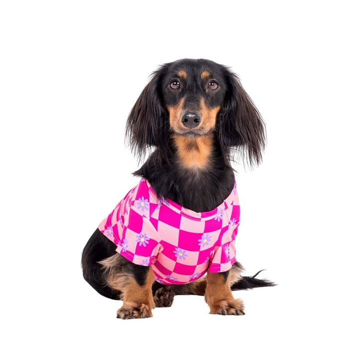 Vibrant Hound - Venta al por mayor Camisa para mascota - Perros - Camiseta refrescante Dreaming of Daisys para perro8
