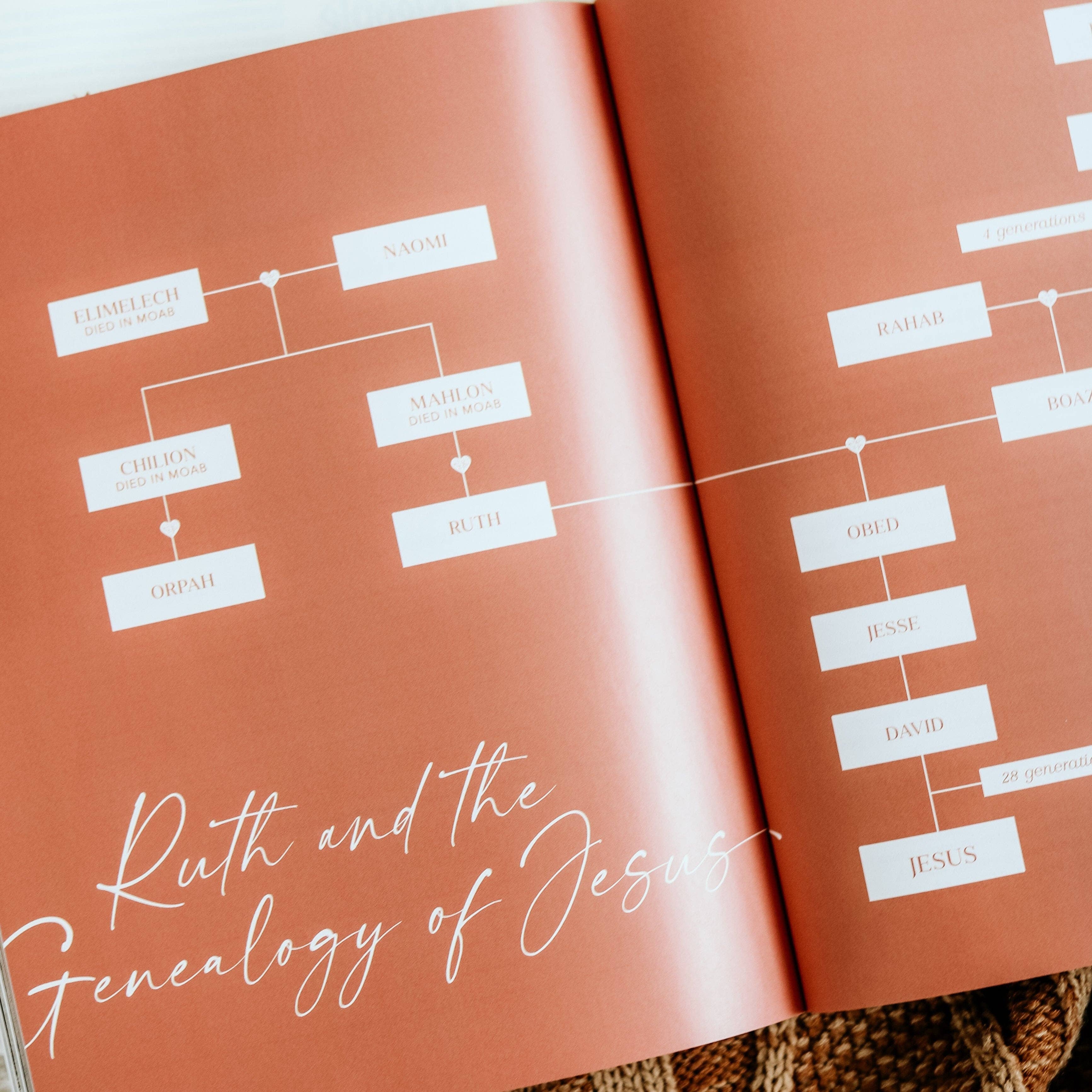 The Daily Grace Co - Wholesale Religion - Ruth Study | Fields of Grace7