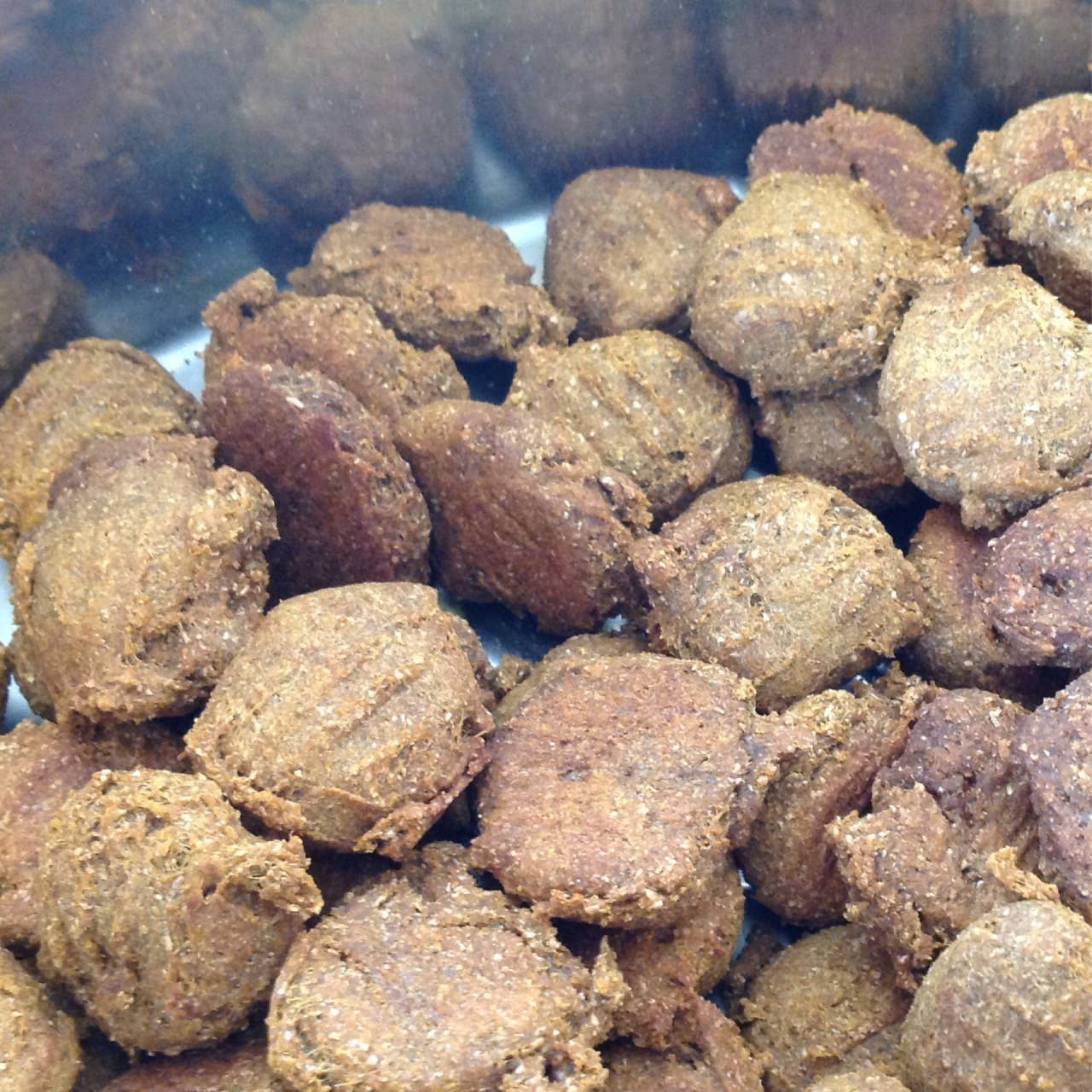 Dog Gone Delicious Dog Treats llc - Wholesale Pet Treats - Dog - Pugkin Dog Treat1