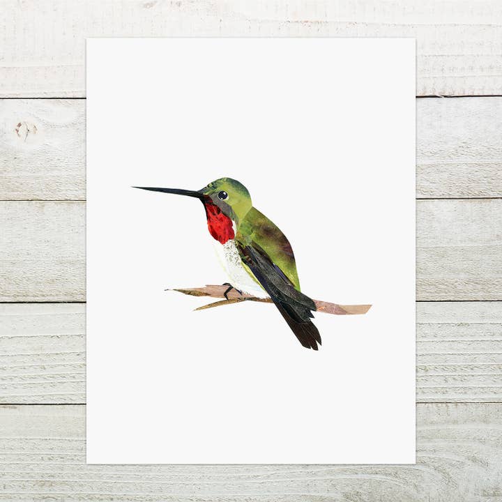 Hummingbird print for wholesale by Angela Doak