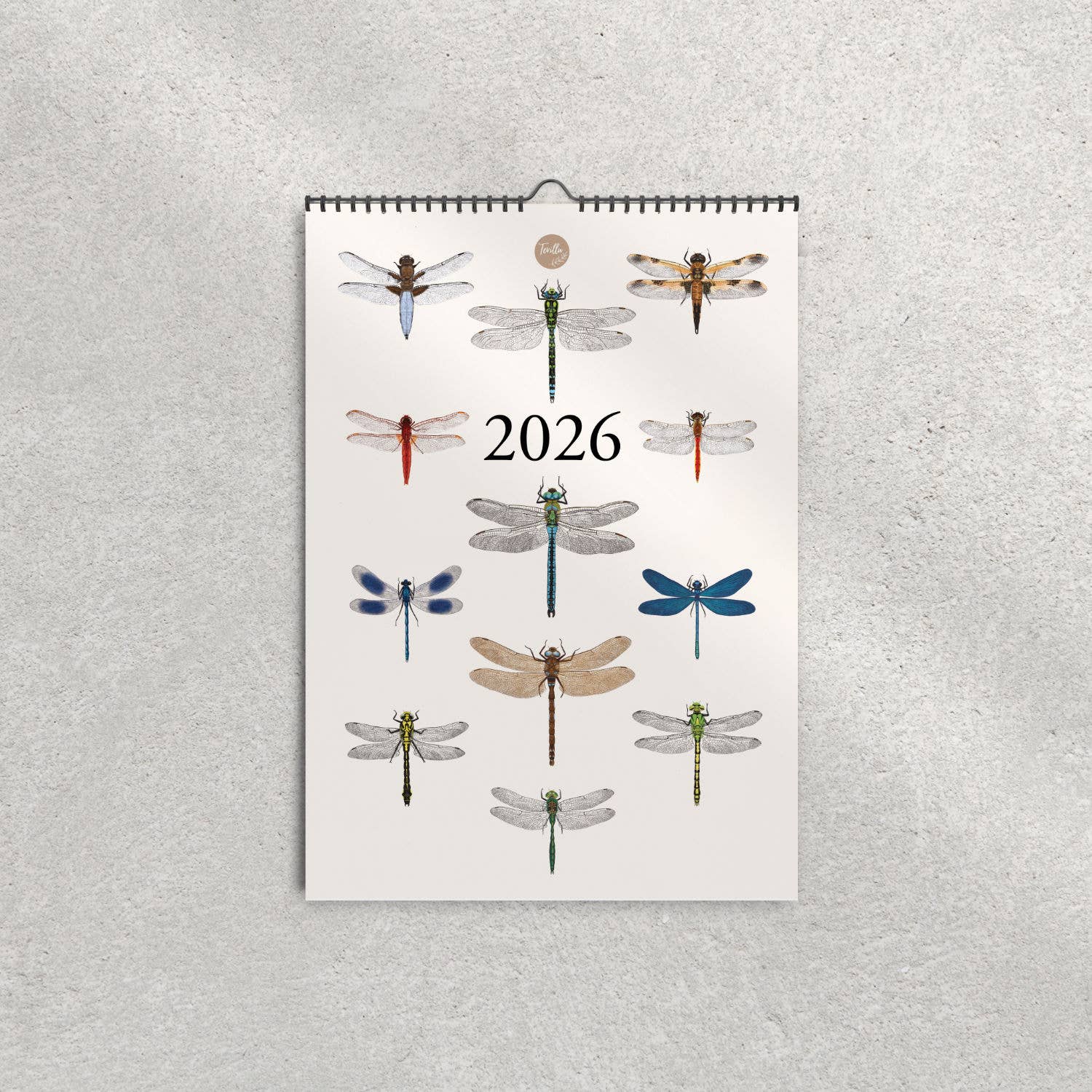 Terillu - Wholesale Calendar - Wall calendar 2026, calendar native dragonflies in A3 format