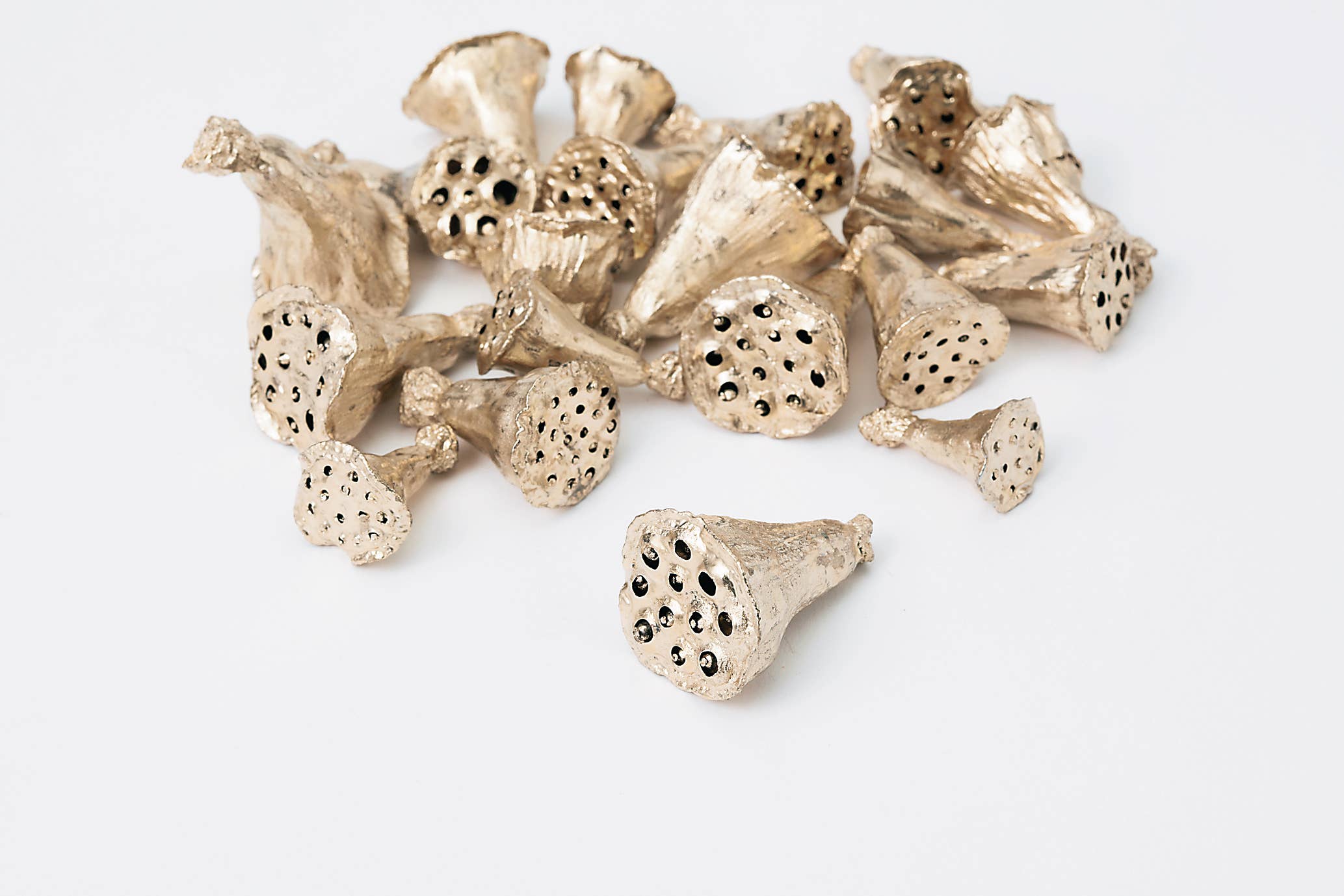 2626 Designs - Wholesale Dried/Pressed Flowers - Dried Preserved Mini Lotus 2cm |Realistic&Long-Lasting Decor2