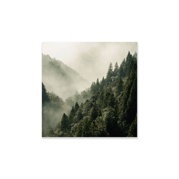 Precious wood table for wholesale by Coast and Valley