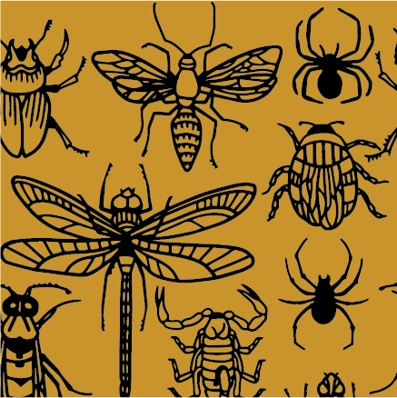 FootClothes LLC - Wholesale Socks - Unisex - Creepy Crawlies Crew Socks5