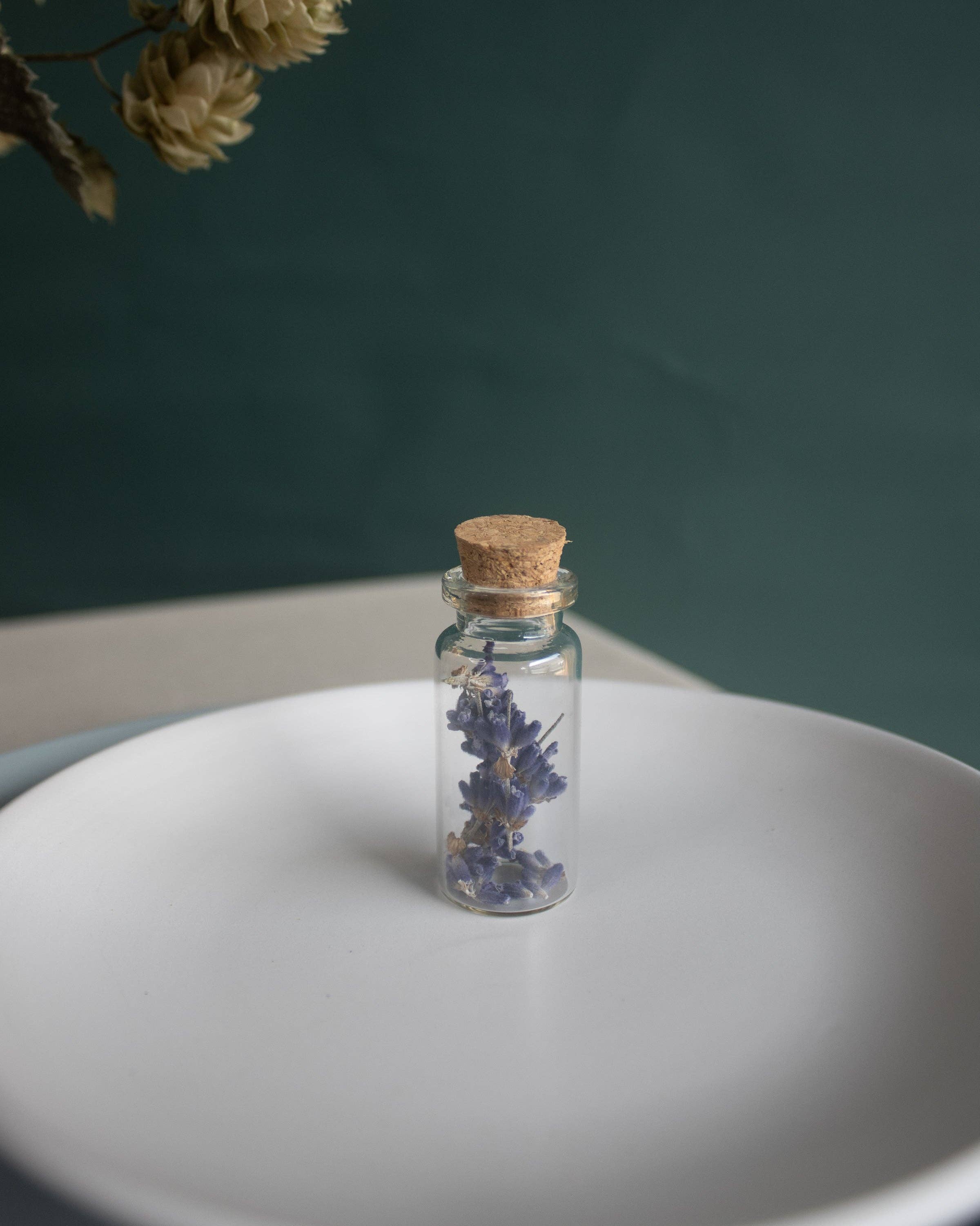 Fernseed - Wholesale Dried/Pressed Flowers - Mini Dried Flower Vials2
