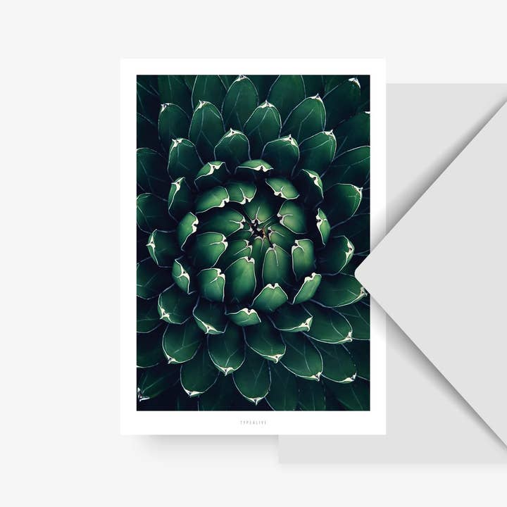Postcard/Junglelow No. 12 for wholesale by typealive