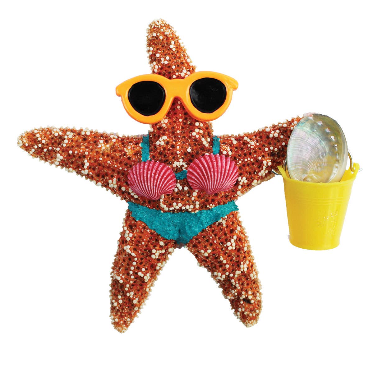 California Seashell Company - Wholesale Magnet - Beach Girl Bucket Sugar Starfish Magnet3