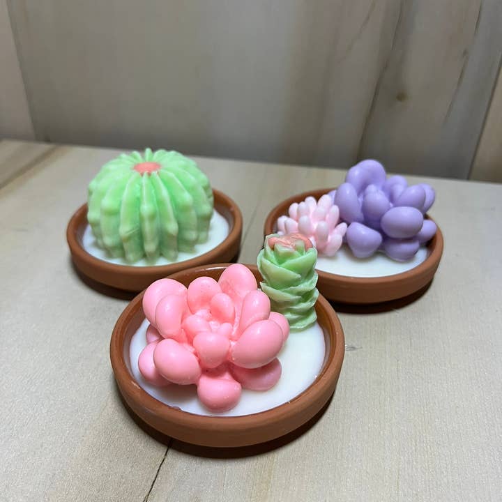 La Binibini - Wholesale Novelty candle - Set of 3 Scented Soy Wax Succulent and Cactus Candle in Dish1