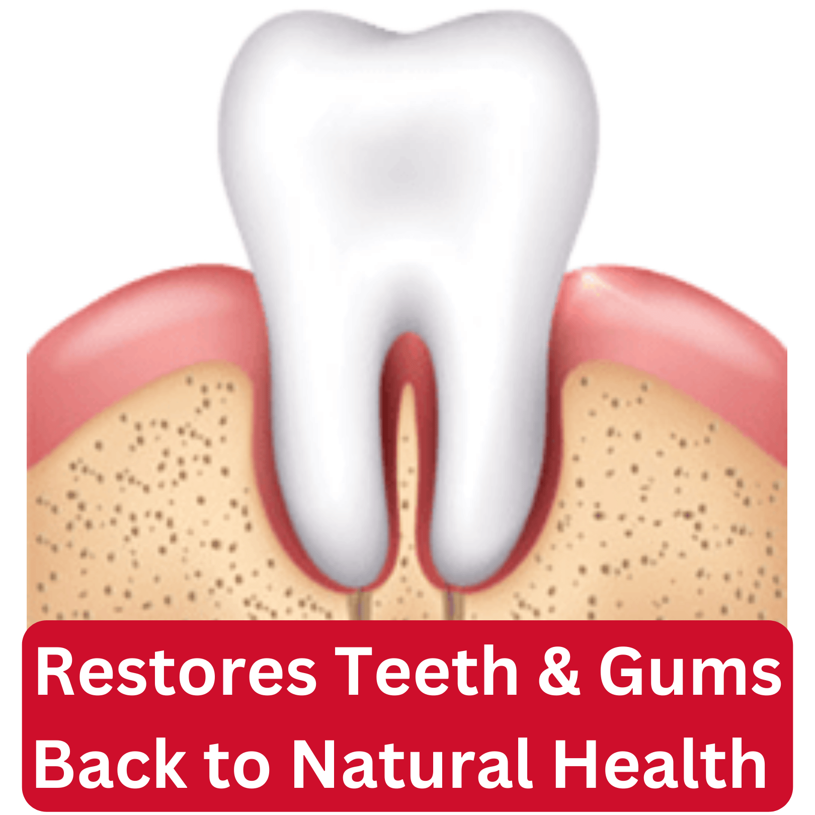 LACALUT - WHOLESALE - Wholesale Toothpaste - LACALUT Aktiv 75ml - RRP $13.9520