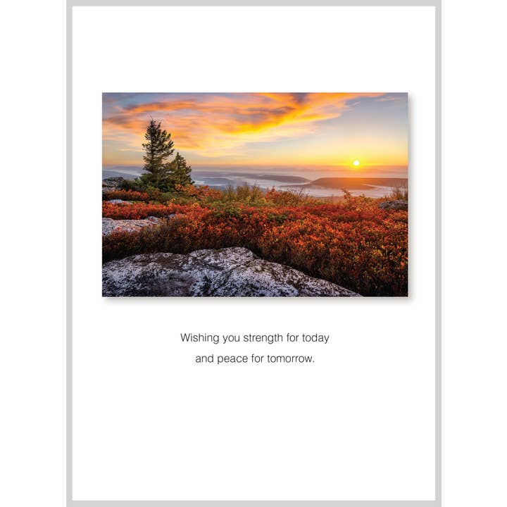 The Borealis Press Inc - Wholesale Sympathy Card - Wishing Sympathy/All Occasion Greeting Card