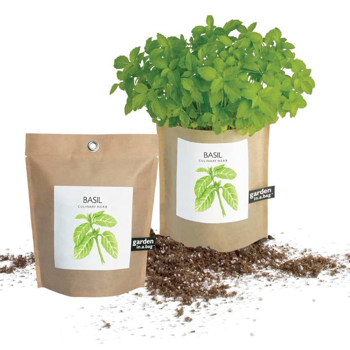 Potting Shed Creations, Ltd. - Wholesale Plant Seeds - Garden in a Bag | Basil | Gift idea for Cooks | Best Seller