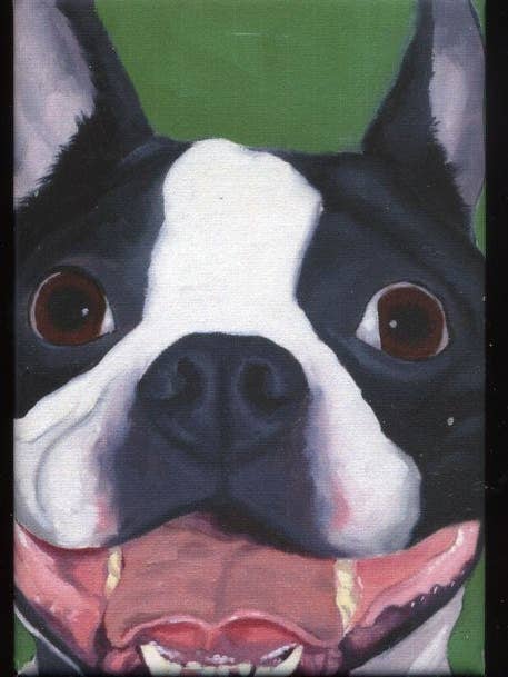 Boston Terrier gift, Cute, Dog Art Magnet for wholesale by Brian Rubenacker studios