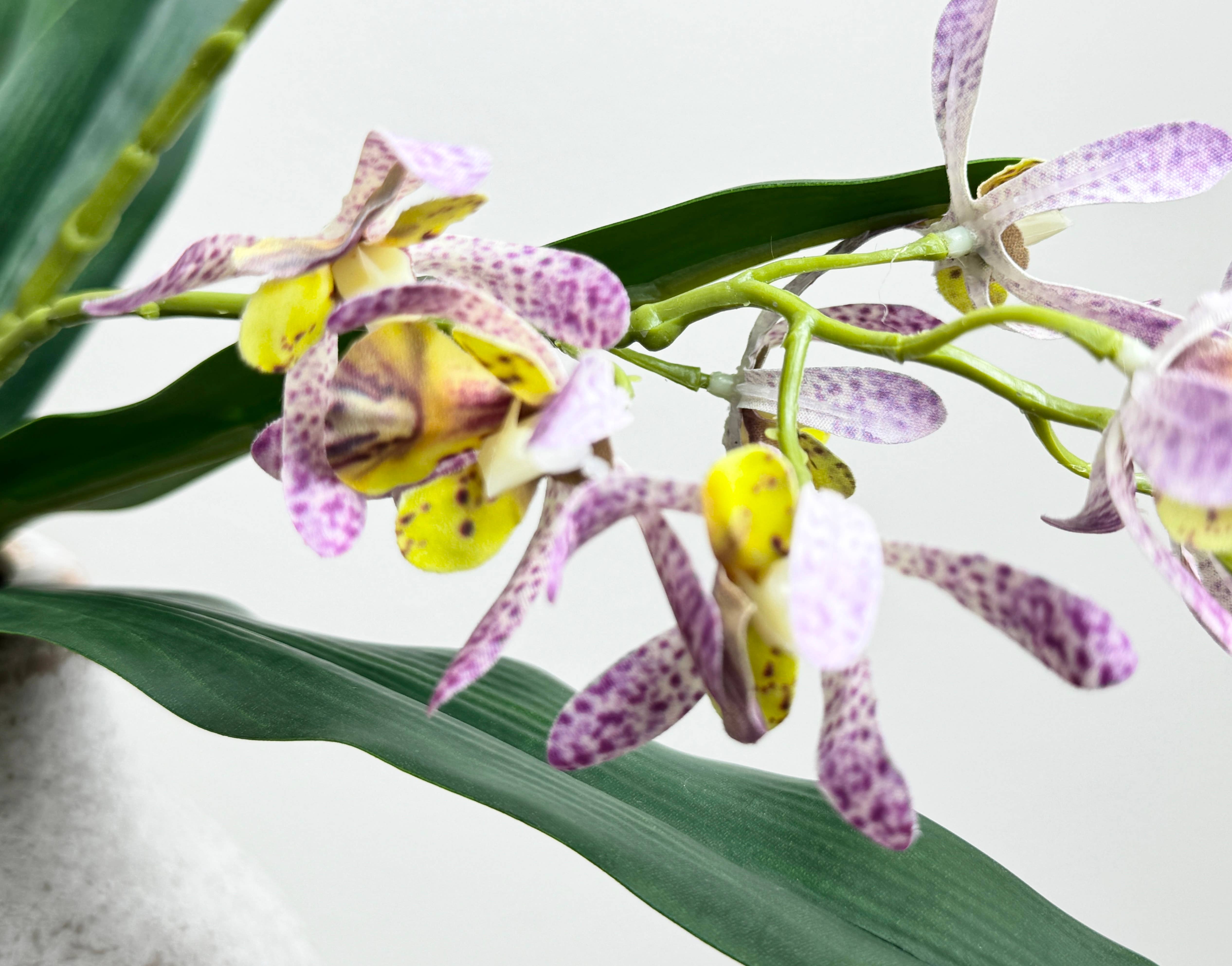 Angel Isabella – Großhandel Künstliche Blumen – 17" Künstliche Arachnis-Orchidee mit echter Haptik und Blättern2