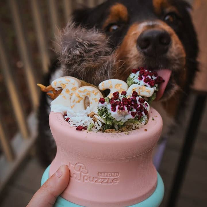 Pet Future llc - Wholesale Pet Bowl - Cat/Dog - Puzzle Tumbler (L/XL), detachable dog enrichment toy3