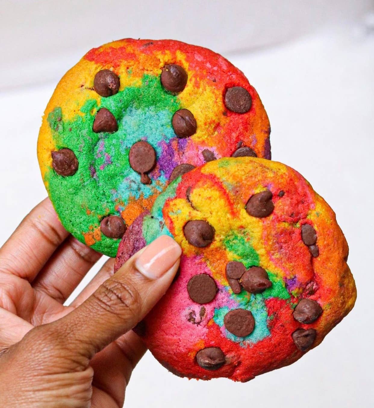 Baked in Color - Wholesale Cookie - Giant Rainbow Chocolate Chip Cookie Box - 15 cookies per box1