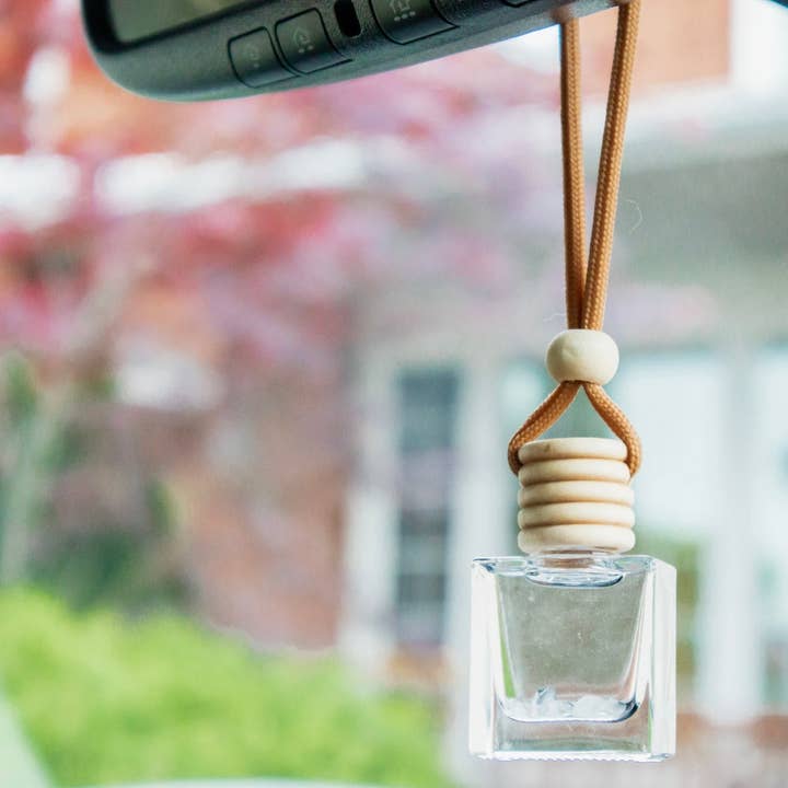 A Pleasant Thought - Vendita all'ingrosso Deodorante per auto - Unisex - CRISTALLI DI QUARZO ROSA | DIFFUSORE PER AUTO0