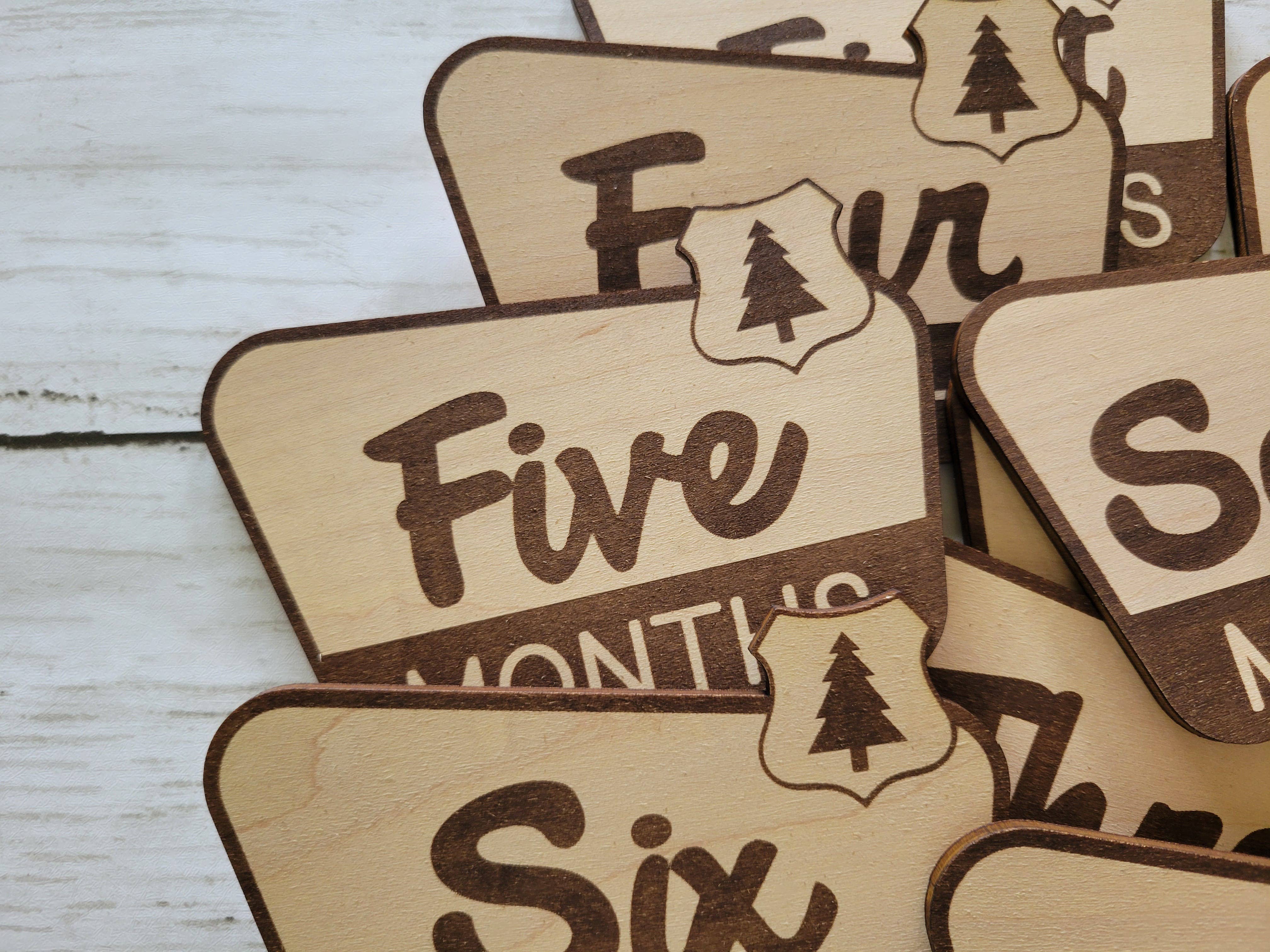 cherelle lynne - Wholesale Milestone Art/Keepsake - Kids & Baby - National Park Monthly Milestone Markers, Welcome Sign4