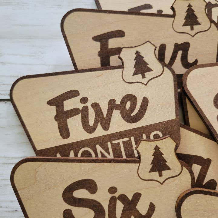 cherelle lynne - Wholesale Milestone Art/Keepsake - Kids & Baby - National Park Monthly Milestone Markers, Welcome Sign4