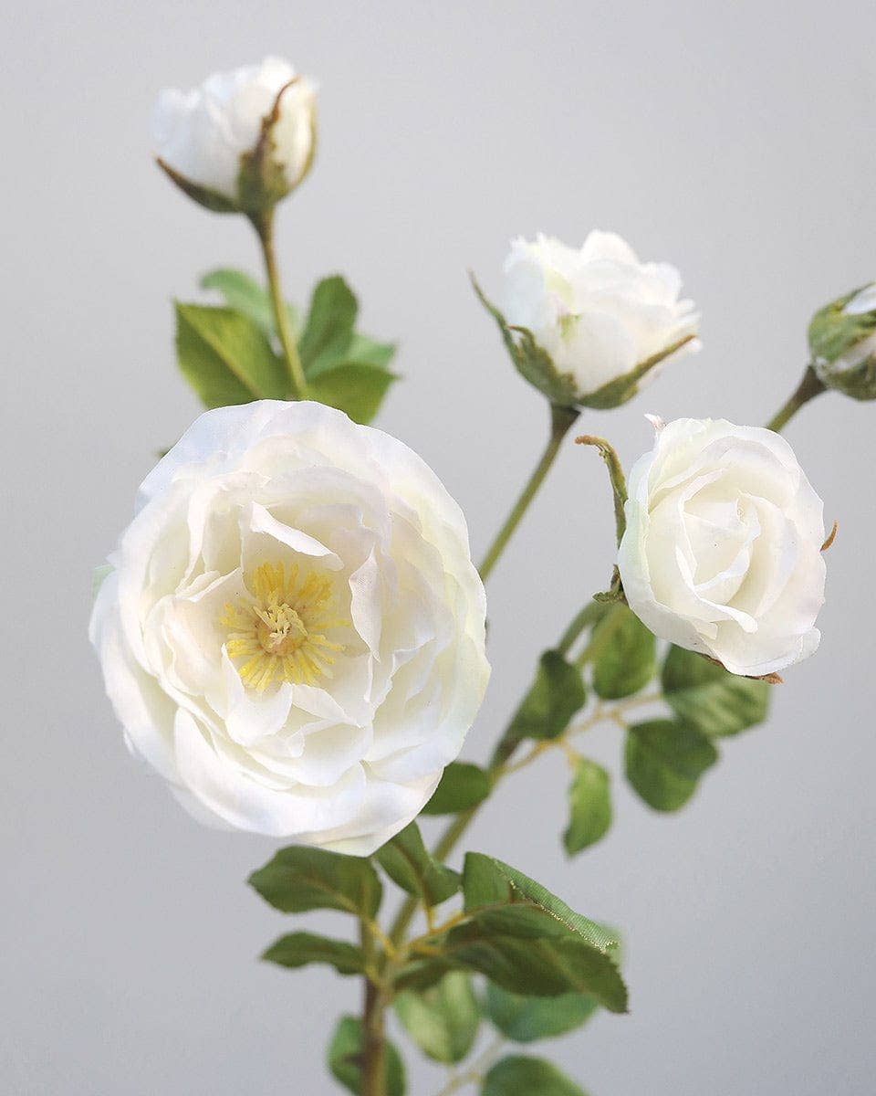 Prestige Botanicals - Wholesale Artificial Flowers - White Artificial Rose Spray 23”2