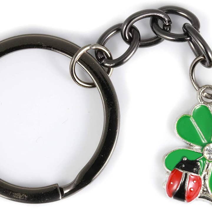 Dave The Bunny - Vendita all'ingrosso Portachiavi - Donna - Ladybug Gifts | Portachiavi a forma di coccinella con scritta «Lady Bug» su un quadrifoglio, portachiavi portafortuna, diametro 2,5 cm, con catenina nera a forma di coccinella, su quadrifoglio con centro di strass1