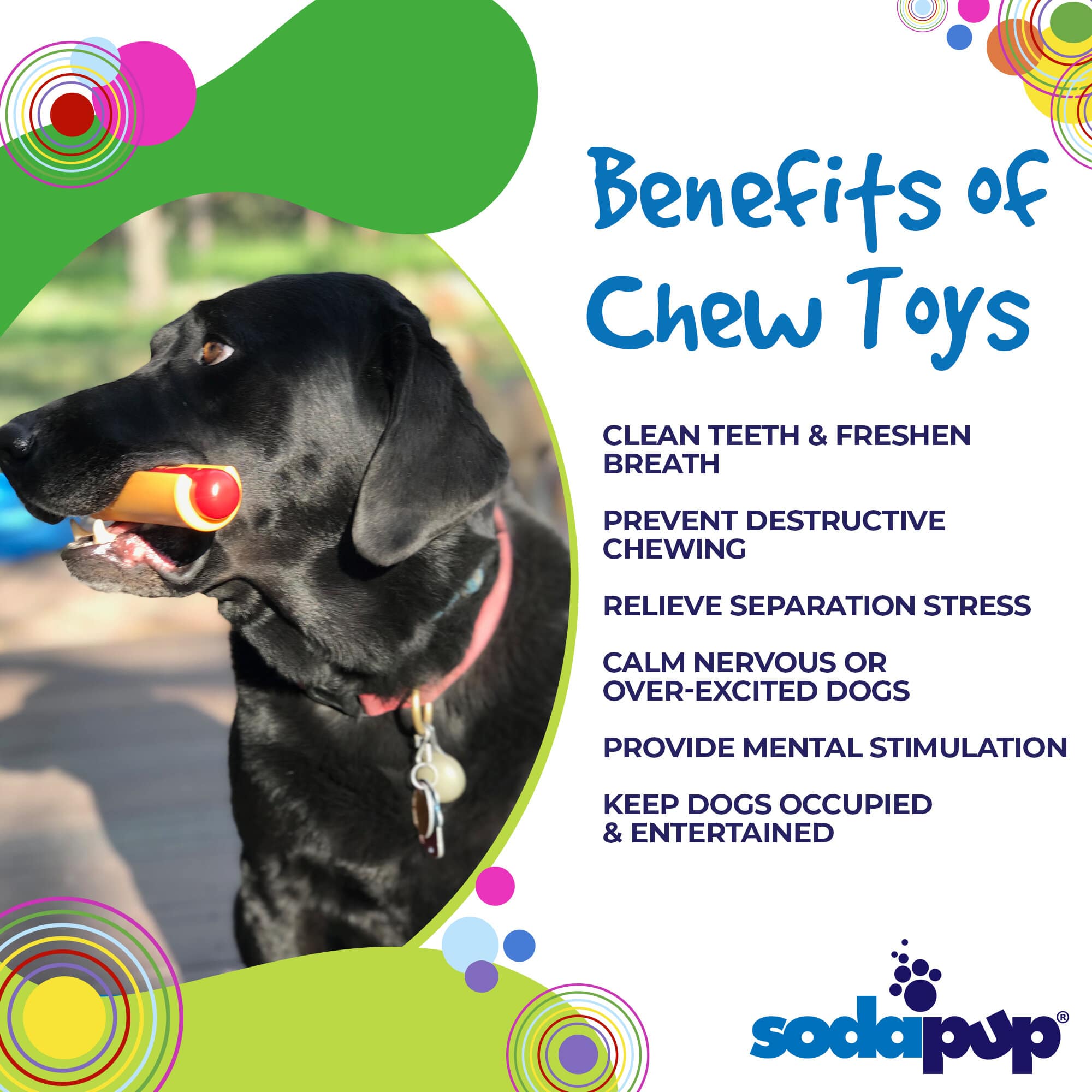 SodaPup Dog Toys - Wholesale Pet Chew Toy - Dog - SP Nylon Hot Dog Chew Toy - Medium/Large2