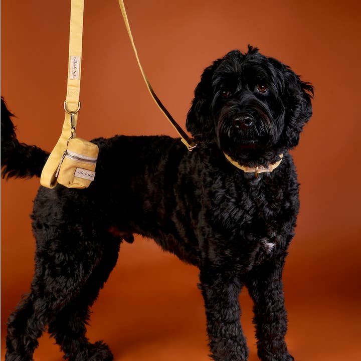 Outback Tails - Wholesale Pet leash – Dog - Waxed Canvas Dog Lead - Yellow2