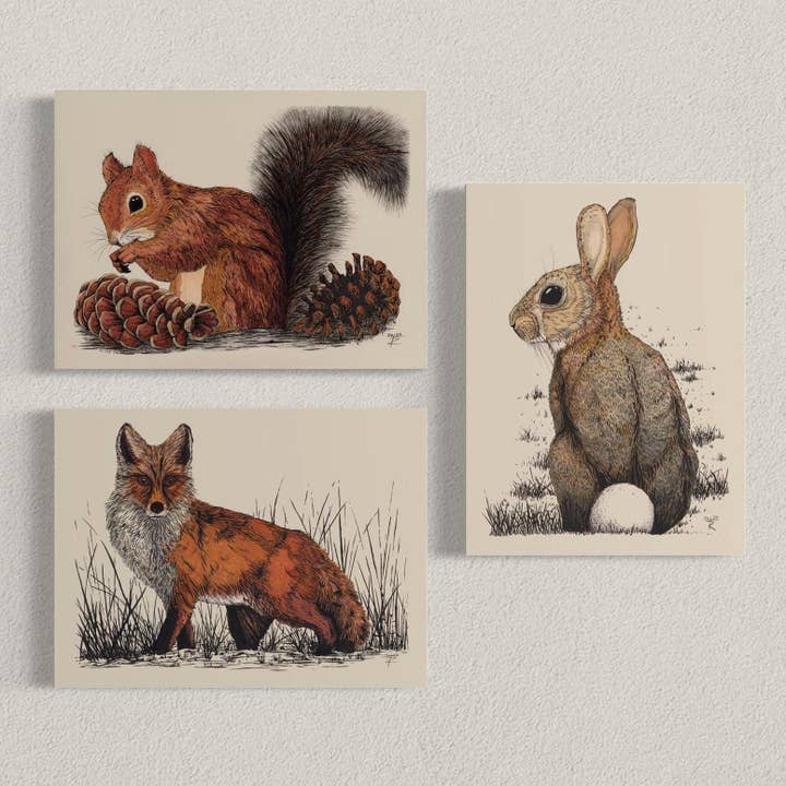 Håndtegnede lykønskningskort 3-pakke: Kanin, Egern, Ræv for engroshandel hos Tony Rubsam Illustrations