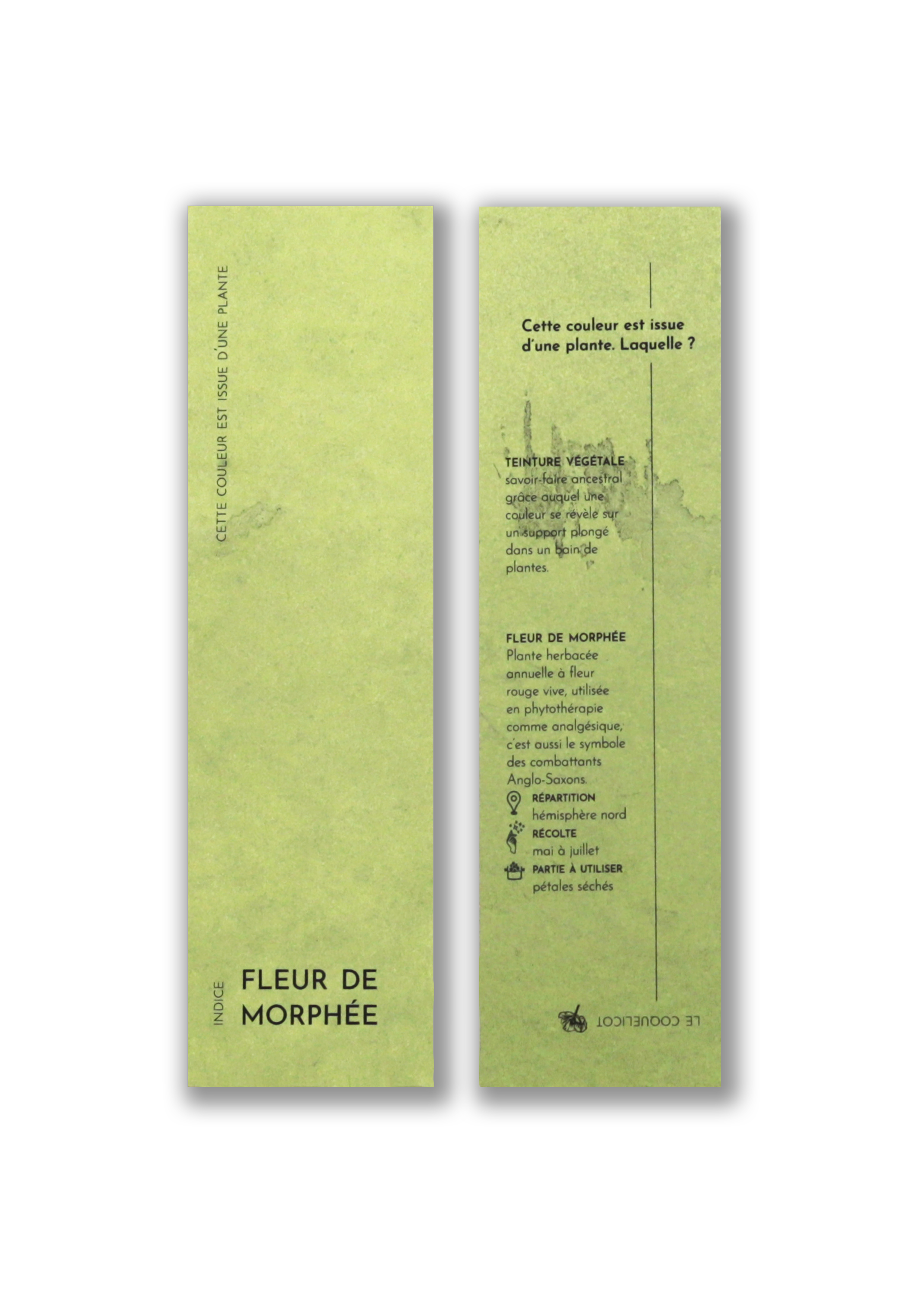 Cueillette - Wholesale Bookmark - Vegetal bookmark4