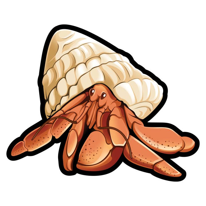 Adesivo Mini Granchio Eremita - 50 Adesivi Granchio Eremita per la vendita all'ingrosso da parte di Aurora Stickers