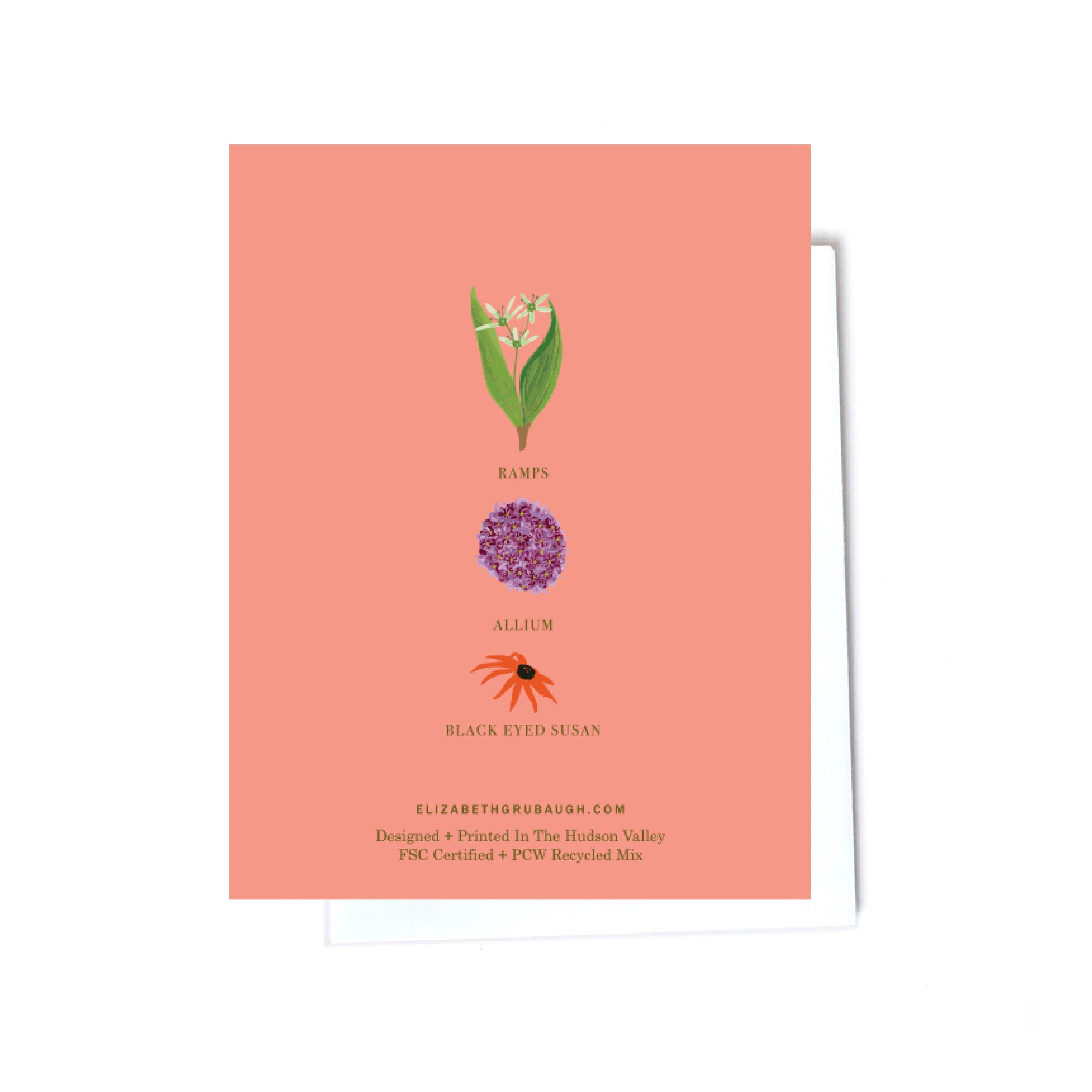 Elizabeth Grubaugh - Wholesale Stationery/Notecard Set - In The Garden Note Card Set8