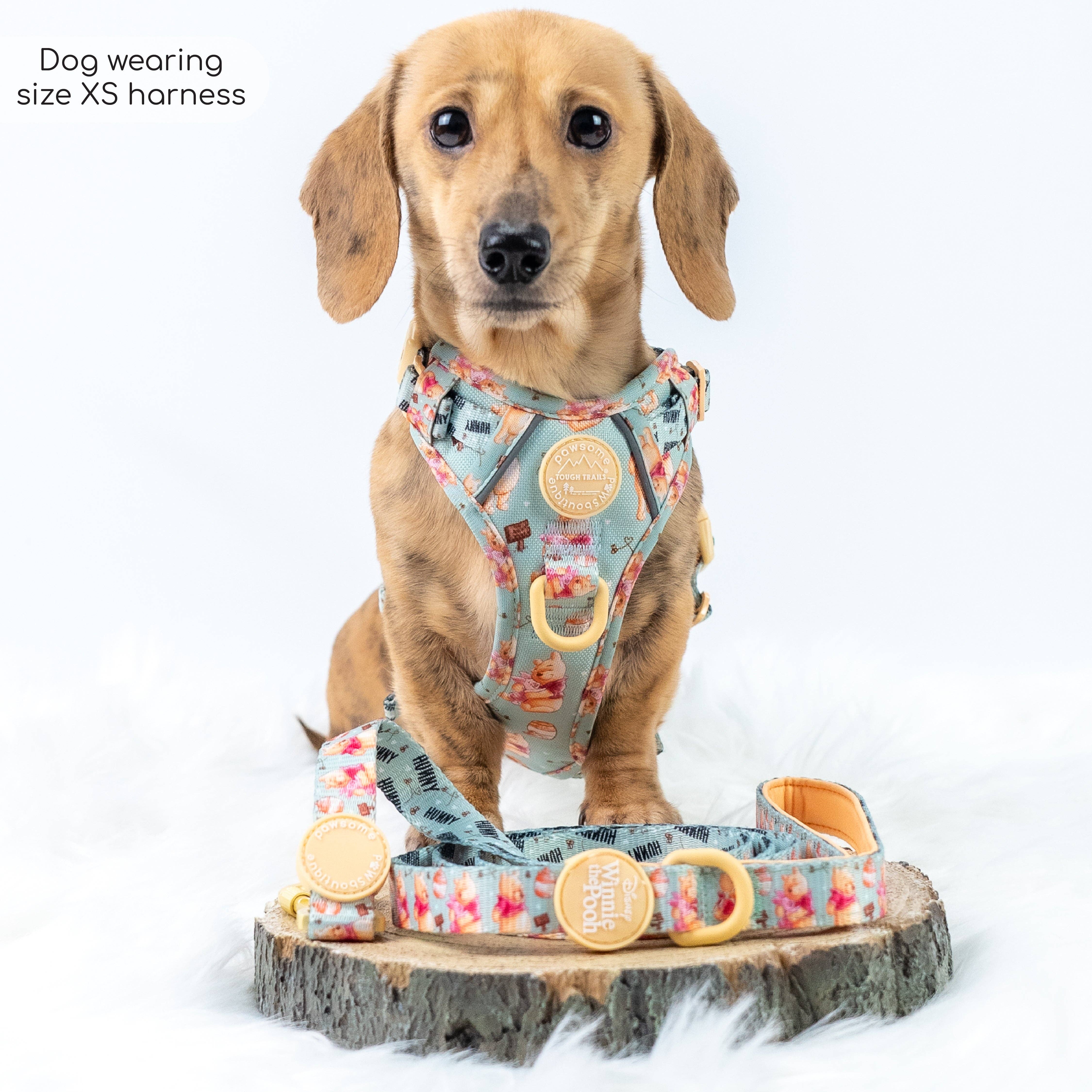 Pawsome Paws – Großhandel Haustiergeschirr – Hund – Disney© Tough Trails™ Geschirr – Winnie Puuh27