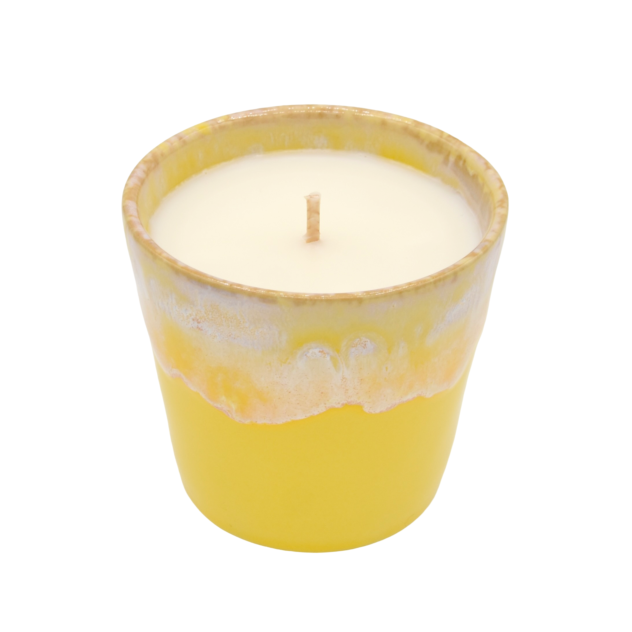 LA BOUGIE HERBIVORE - Wholesale Jar/Filled Candle - Watermelon Melon Scented Candle | THE HERBIVORE CANDLE2