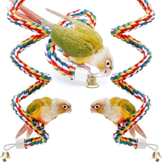 Youngever 2 Pack Birds Toys for wholesale by Youngever