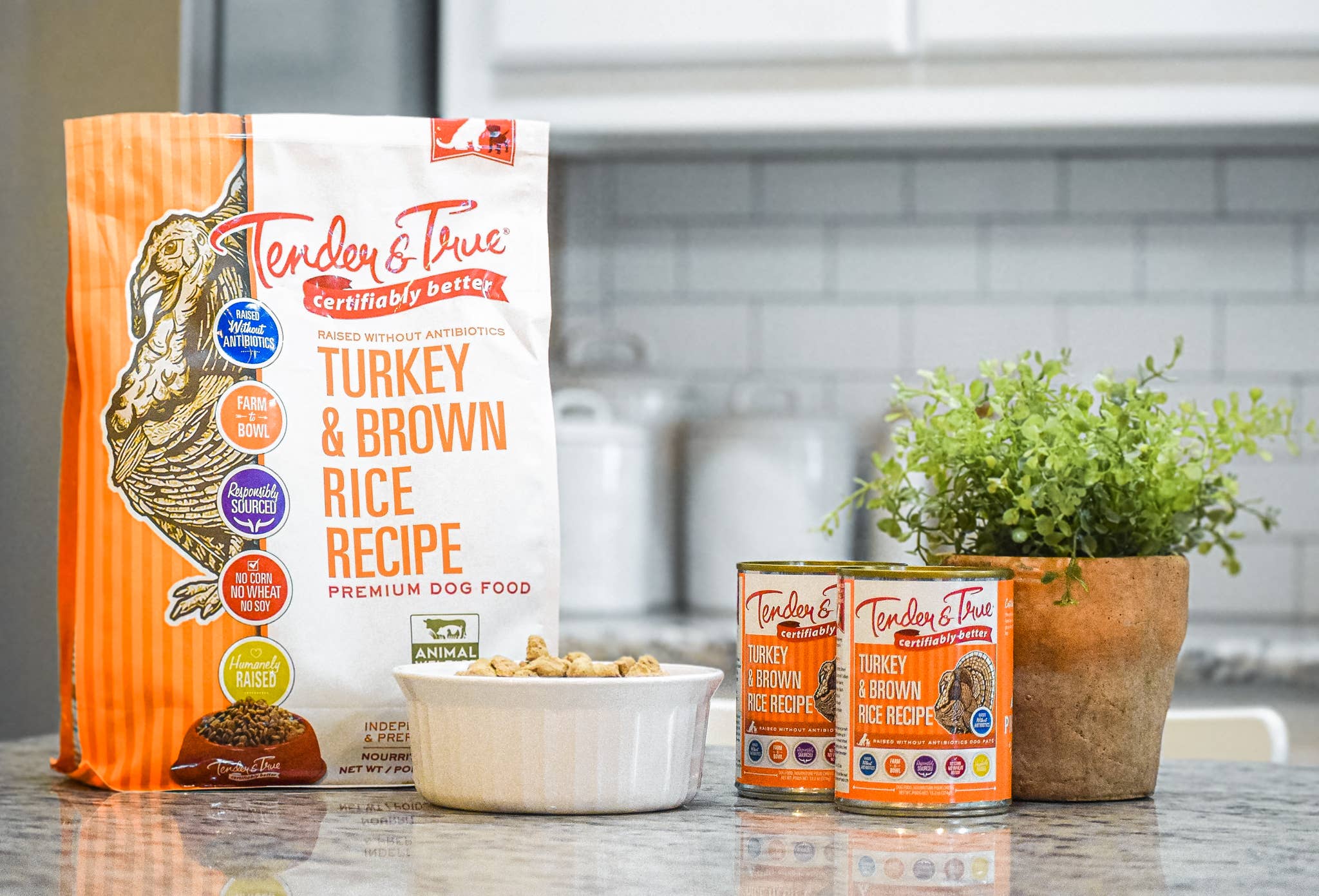 Tender & True Pet Nutrition - Wholesale Pet Food - Dog - Turkey & Brown Rice Recipe Dry Dog Food, 4 lb.4