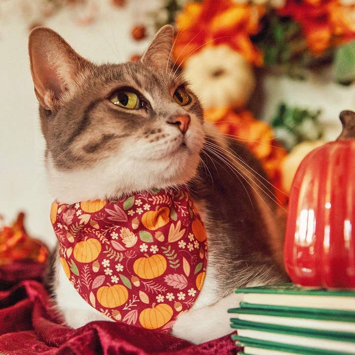 "Pumpkin Patch - Cranberry" - Fall Bandana for Cats + Dogs for wholesale by Made By Cleo