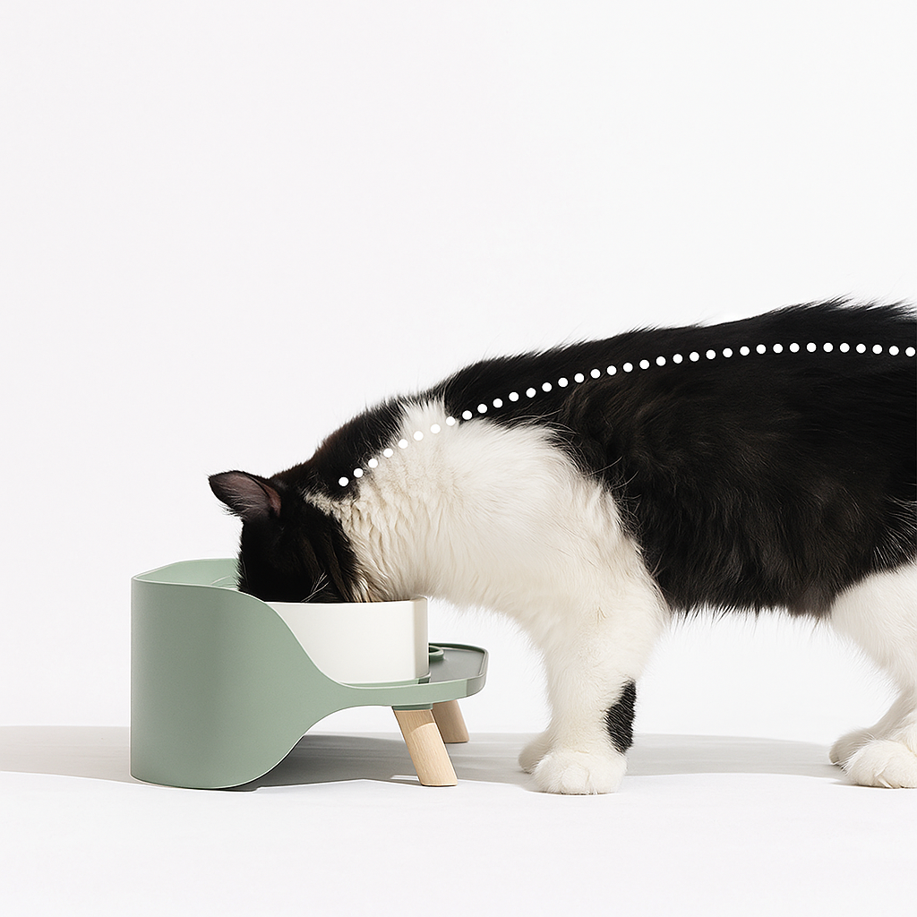 Pet Wiz – wholesale Pet bowl – Cat/dog – Raised Double Bowls with Splash Proof Guard1