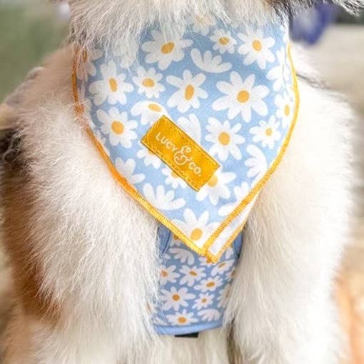 Einfach fabelhaftes Bandana für den Großhandel von Lucy & Co.