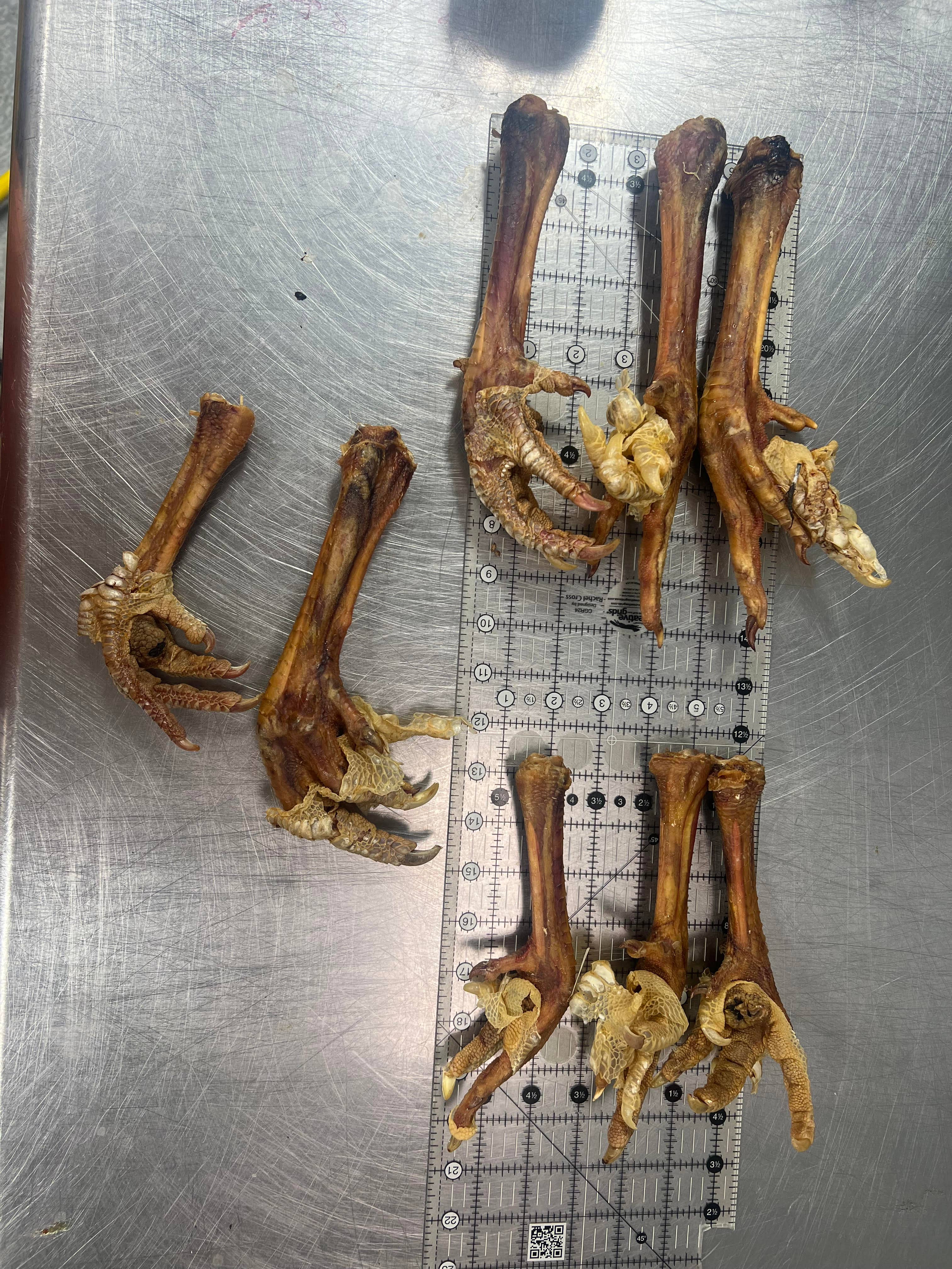 What the raw - Vente Friandises – chien - Pied de dinde1