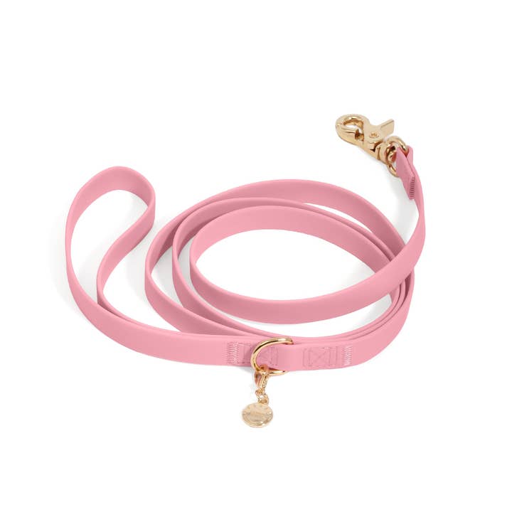 SUNNY TAILS - Wholesale Pet Leash - Dog - Perfect Pink Waterproof Cloud Dog Leash