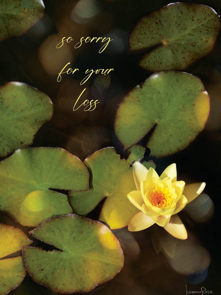 SY/Sympathy Water Lily for wholesale by Greeting Cards by Norcard