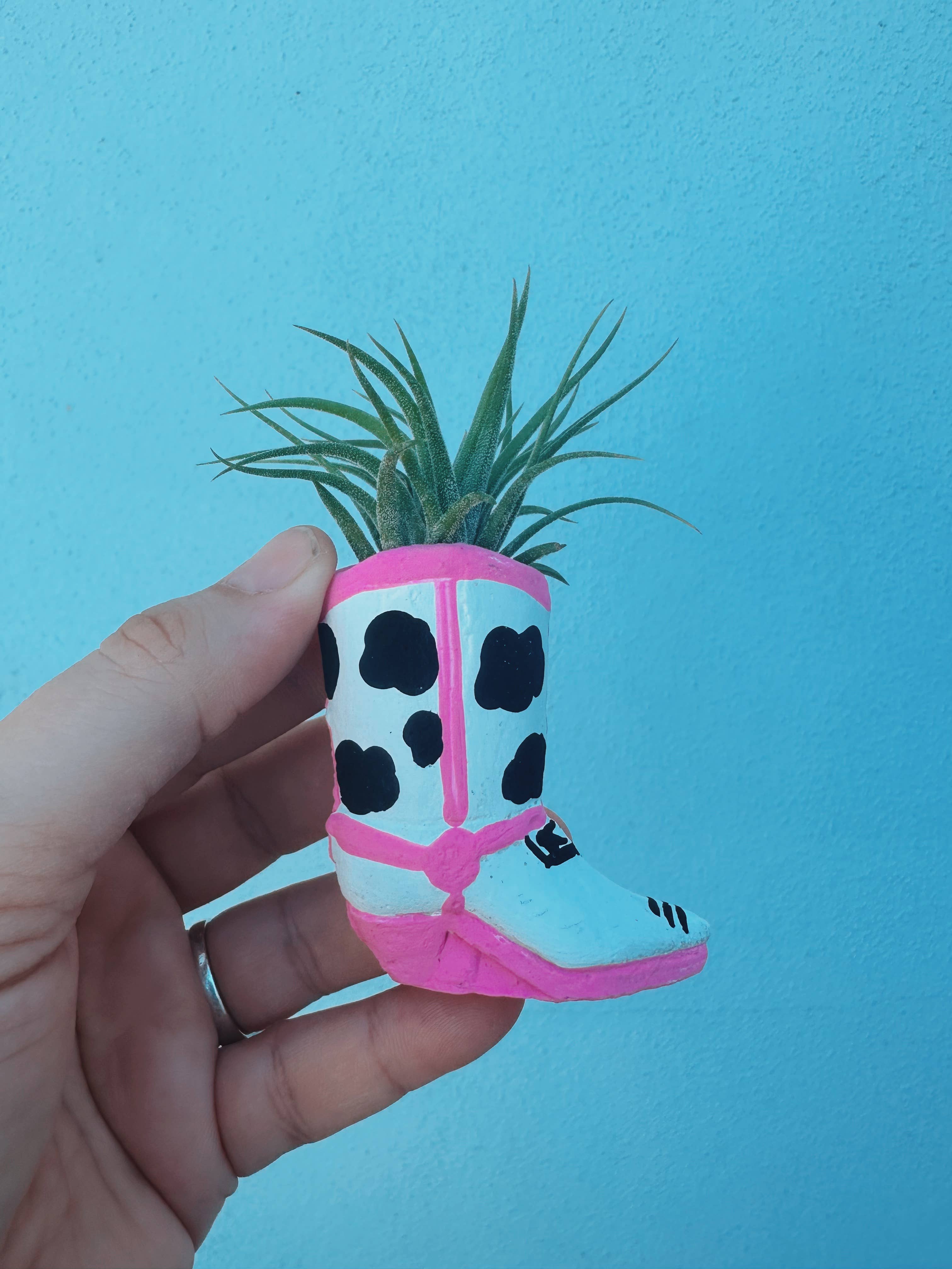 O'Berry's Succulents - Wholesale Live Plant - Cow Print Mini Western Boot Planter and Air Plant1