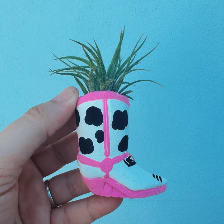 O'Berry's Succulents - Wholesale Live Plant - Cow Print Mini Western Boot Planter and Air Plant1