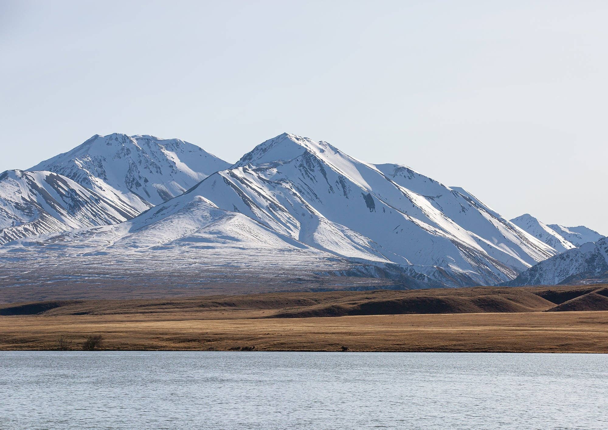 By The Horns - Vente Affiche d'art - Lac Clearwater0