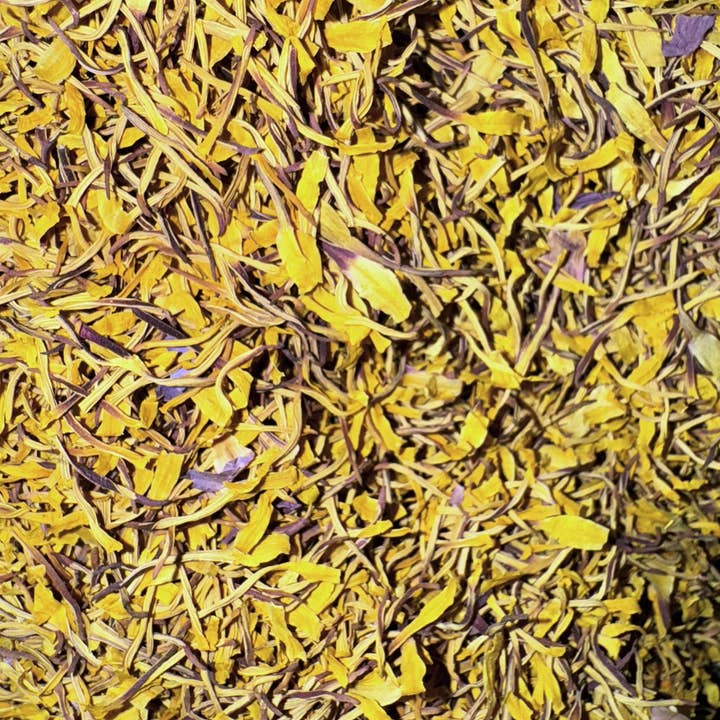 Blå Lotus Stammen kun for engroshandel hos Healing Herbals